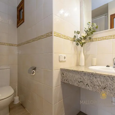 With Terrace Apartment